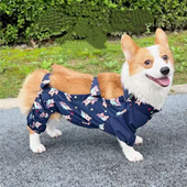 柯基四脚短腿狗狗专用护肚耐脏雨后外出服遛狗防虫防尘裤