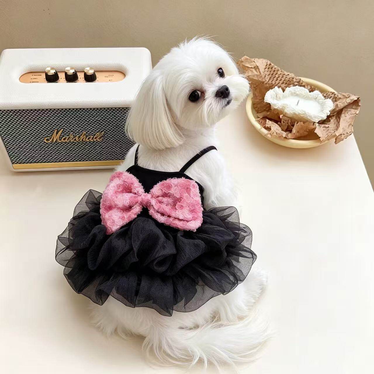 宠物比熊猫咪泰迪狗狗衣服春夏装春装的粉色蝴蝶结公主裙子连身裙