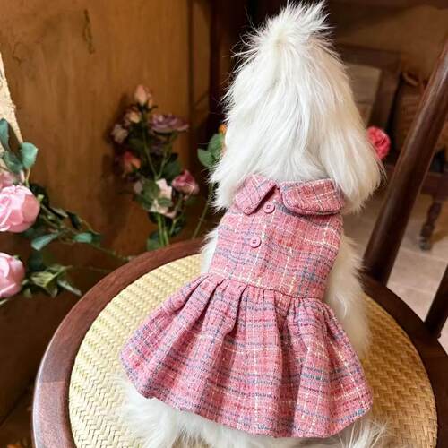小香风狗狗衣服秋冬装宠物连身公主裙猫咪裙子马尔济斯公主洋装