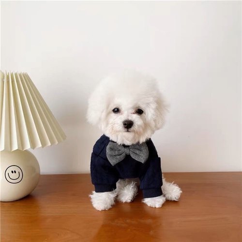 宠物小狗狗英伦绅士领结衣服秋冬季泰迪比熊小型幼犬奶狗猫咪服饰