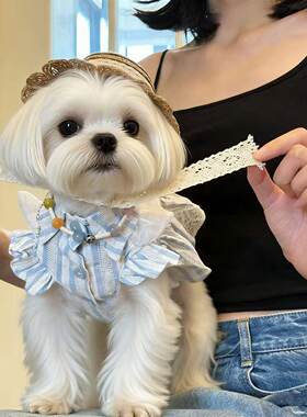夏季宠物小狗狗衣服小型犬泰迪博美约克夏花边衣服爱可爱裙子薄款