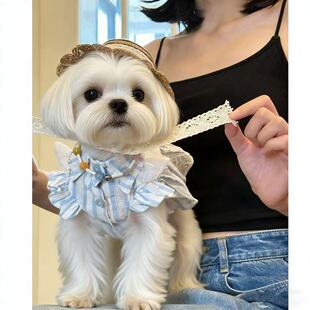 夏季宠物小狗狗衣服小型犬泰迪博美约克夏花边衣服爱可爱裙子薄款