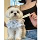 夏季 宠物小狗狗衣服小型犬泰迪博美约克夏花边衣服爱可爱裙子薄款