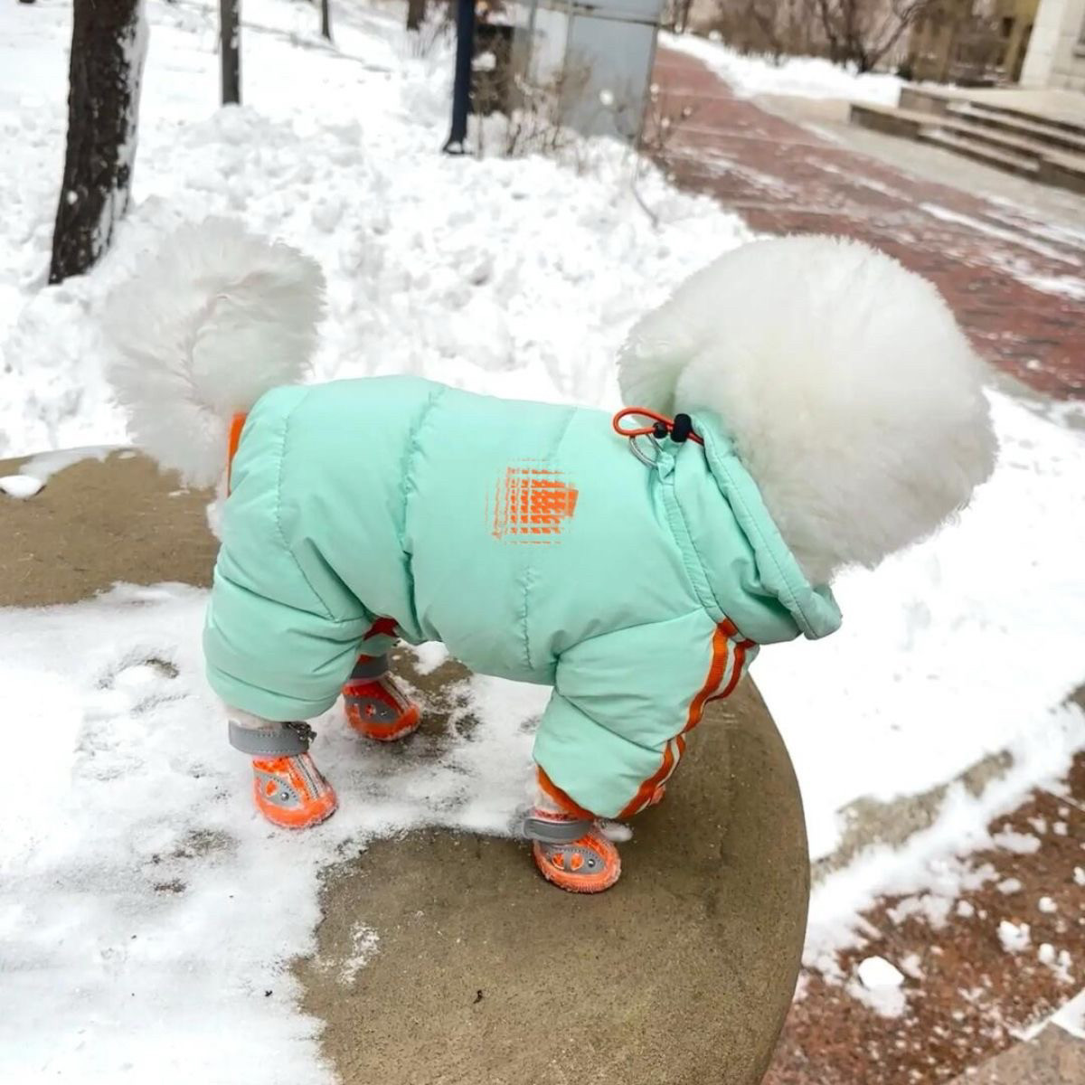 秋冬新款保暖防风奔跑小狗四腿棉服防冻御寒雪纳瑞比熊泰迪简约