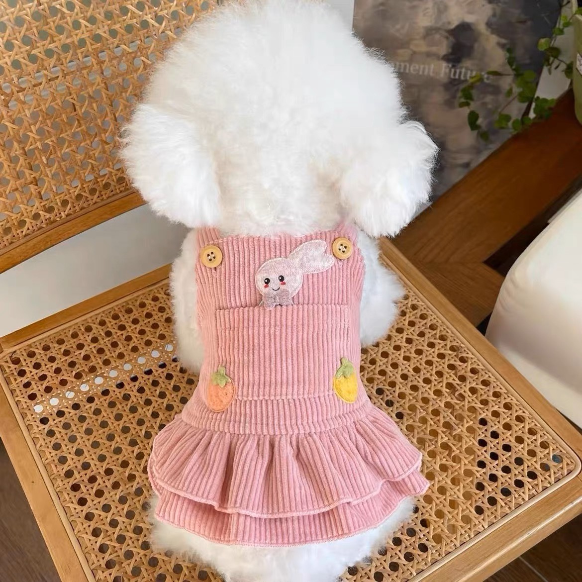 宠物衣服秋冬新款灯芯绒可爱兔子草莓背带裙泰迪比熊狗狗猫咪裙子