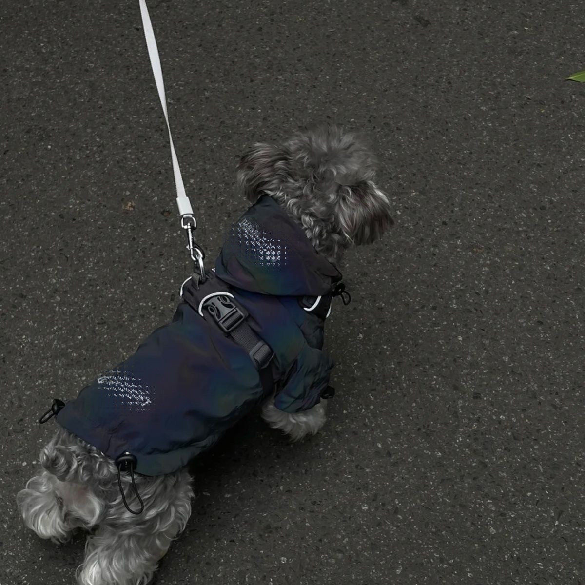 机能风潮牌狗狗棉服春秋保暖抽绳比熊雪纳瑞泰迪法斗博美春秋款