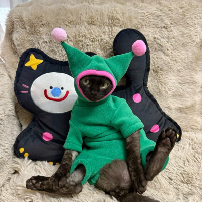 德文猫无毛猫秋冬保暖加厚奥利绒猫衣服圣诞绿猫咪帽牛角帽
