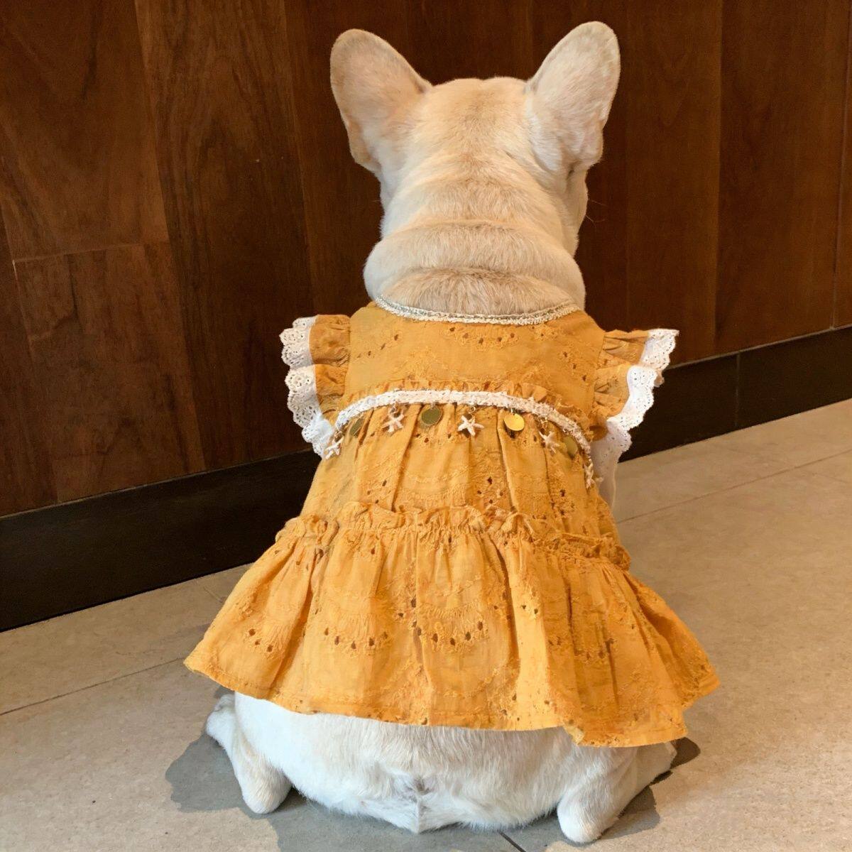 原创法斗衣服夏季薄款狗狗背心裙子法斗裙子斗牛犬巴哥犬短体胖狗