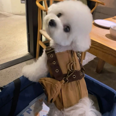 猫咪狗狗衣服比熊约克夏西高地小中型犬宠物可牵引背带