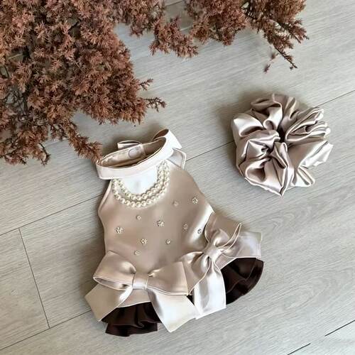 狗狗服饰宠物蝴蝶马尔济斯约克夏猫咪春秋裙子超仙猫咪