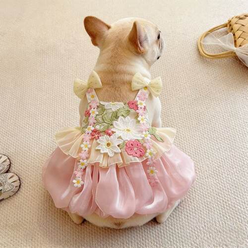狗狗夏季衣服狗狗裙子法斗犬短体斗牛犬胖狗衣服宠物淑女吊带裙