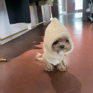 狗狗衣服秋冬保暖洋气比熊泰迪柴犬可爱网红约克四脚保暖毛衣