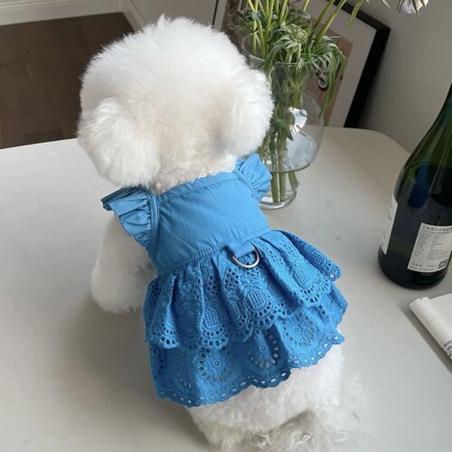 宠物衣服春夏新款韩系飞袖蕾丝裙子泰迪比熊狗狗猫咪薄款牵引衣服