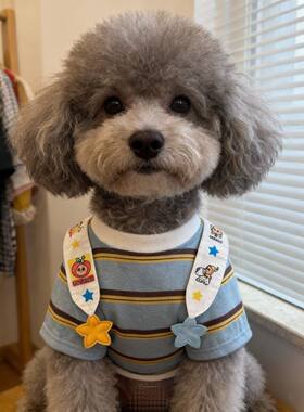 小狗衣服春夏薄款衣服雪纳瑞泰迪防掉毛衣服网红狗狗衣服夏潮牌薄