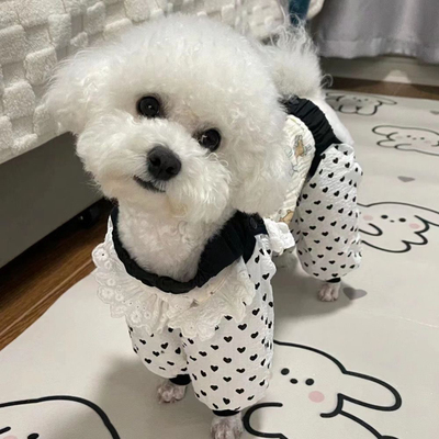 狗狗防尘裤遛弯裤春夏防脏防虫轻薄四脚裤腿套护腿小型犬春夏衣服