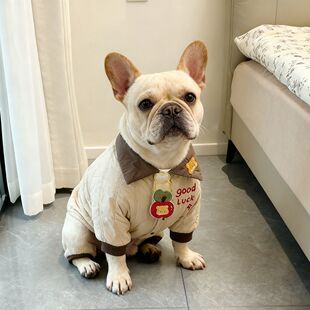 法斗冬装西高地衣服巴哥冬季加绒苹果熊外出棉服冬装加厚连体棉衣