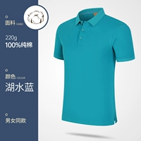 (Gao Ding) NS-2988