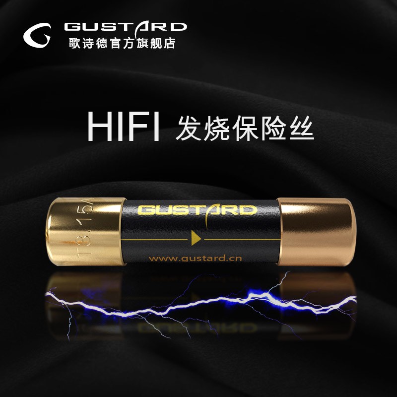 歌诗德GUSTARD HIFI解码器功放音响发烧高端保险丝纳米合金保险管 - 实物图