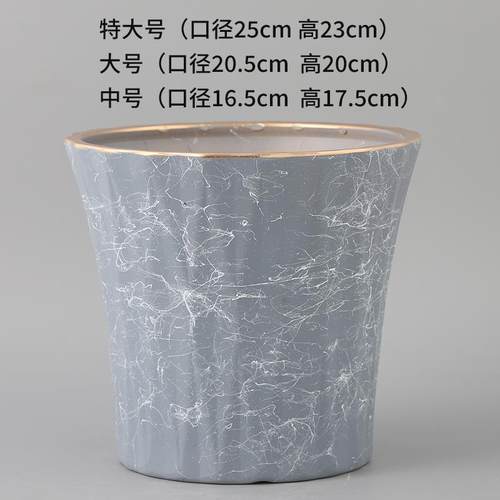 家用大口径发财树室内外北欧风格
