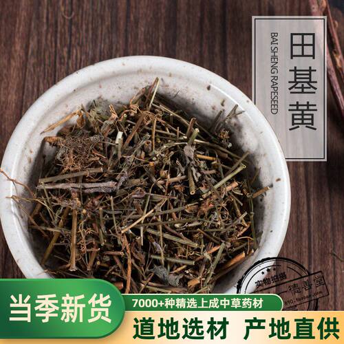 中药材田基黄地耳草花