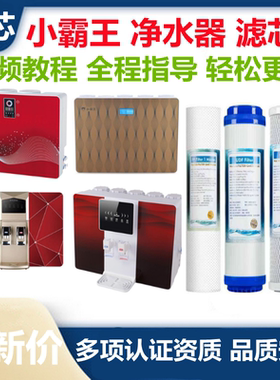 小霸王净水器滤芯RO-75D08 100LR19 100D88 A13加热一体机PP棉活