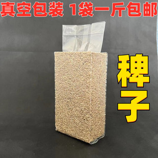 珍珠鸟文鸟蛋白质高真空包装 500g 稗子草籽草种子芙蓉鸟鹦鹉 鸟食