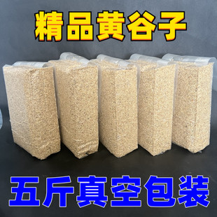 新大颗粒黄谷子带壳小米鹦鹉虎皮牡丹玄凤鸟食鸟粮 5斤真空包装