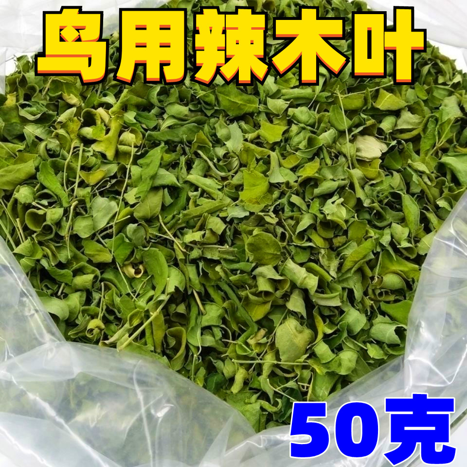 虎皮牡丹玄凤中小型鹦鹉