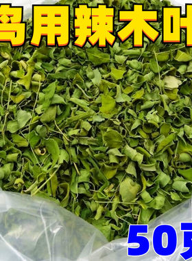 虎皮牡丹玄凤中小型鹦鹉