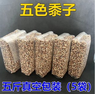 鹦鹉饲料鸟粮带壳谷子小米鸟食玄凤虎皮牡丹专用五色黍子5斤真空