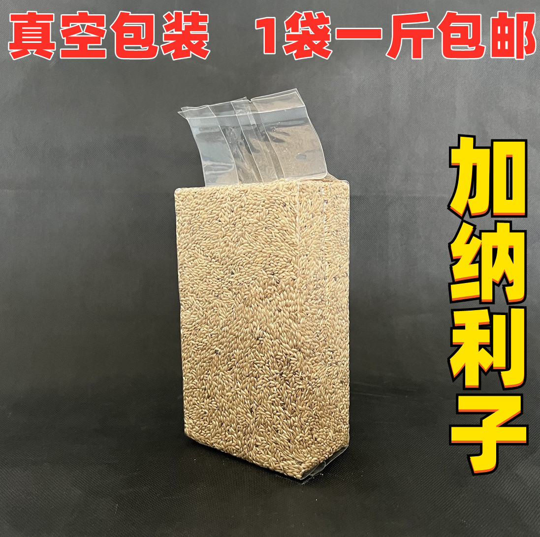 加纳利子虎皮牡丹鹦鹉鸟食白尖 鸟粮鸽子粮食用品1斤真空包装 宠物/宠物食品及用品 鸟禽其他 原图主图