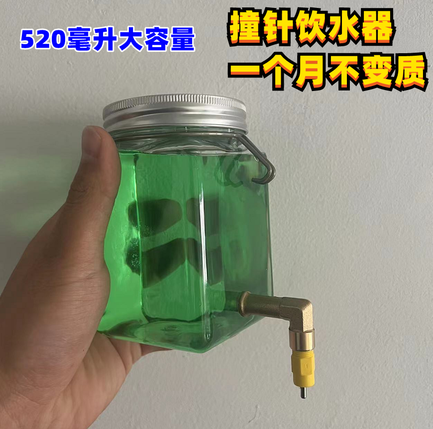 鹦鹉撞针饮水器鸟用水杯芦丁鸡水壶自动大容量宠物芙蓉鸟噬菌体 宠物/宠物食品及用品 鸟禽其他 原图主图