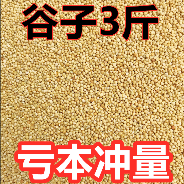 虎皮玄凤鹦鹉鸟粮黄谷子小米