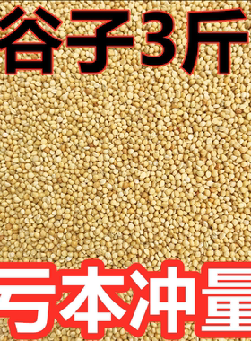 虎皮玄凤鹦鹉鸟粮黄谷子小米
