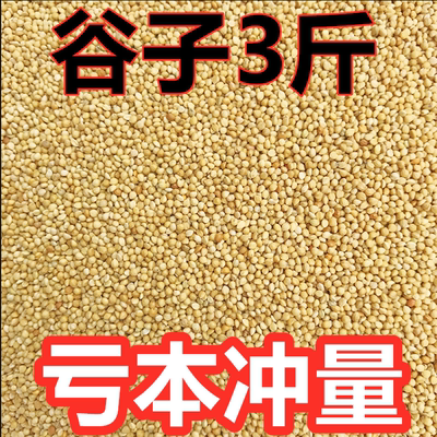 虎皮玄凤鹦鹉鸟粮黄谷子小米