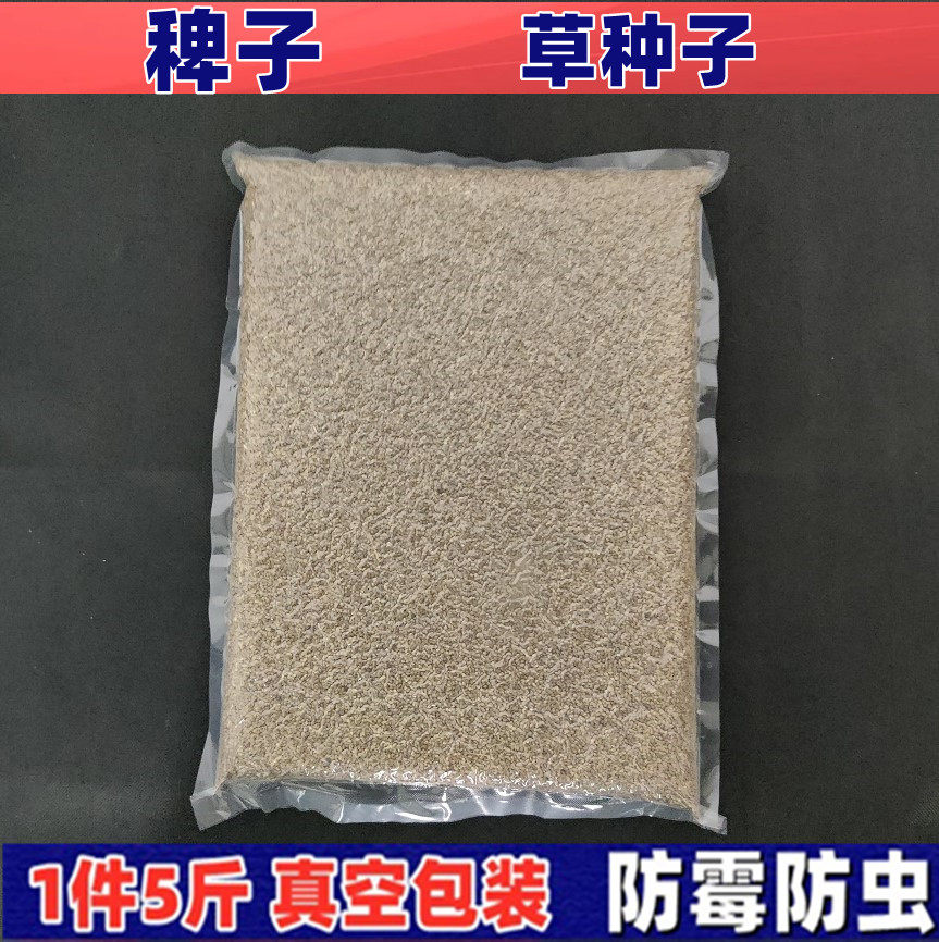 草籽水稗子酿酒原料类鹦鹉类真空