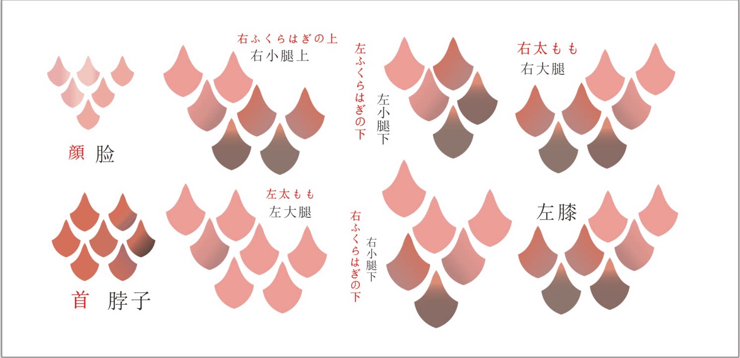 刀剑乱舞 古今伝授之太刀 纹身贴 cosplay 配件 道具周边