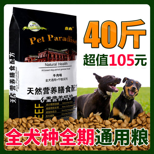 鼎鑫通用型金毛萨摩拉布拉多幼犬