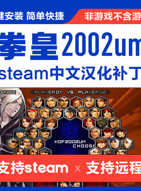 拳皇2002um无限之战/kof2002um 中文汉化补丁 支持steam 不含游戏