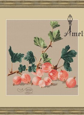 弹弹十字绣 自配DMC线/R线十字绣套件 非印花 D0004粉红色醋栗