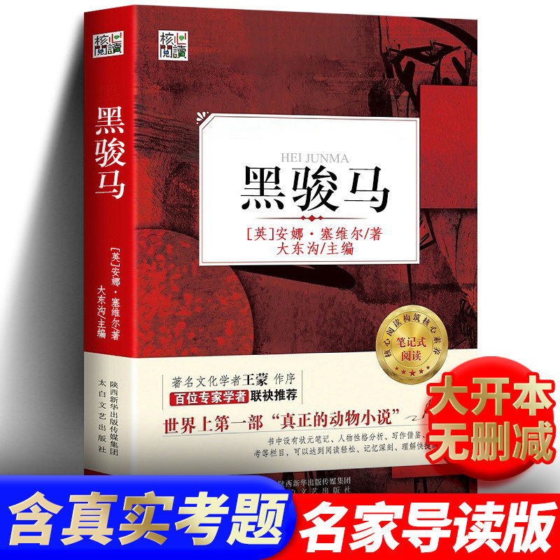 含考题和名师点评 黑骏马书 正版书籍中文版 安娜塞维尔核心阅读名作名家导读初中生小学生四年级阅读书八年级张承志