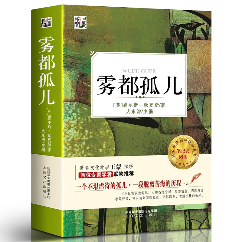 517页完整版雾都孤儿小学生阅读