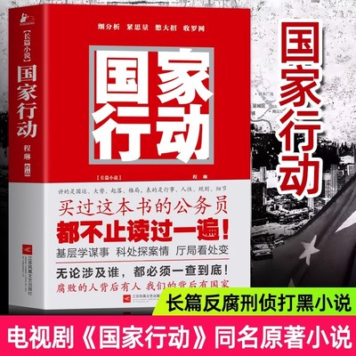 国家行动程琳著原著长篇反腐刑侦