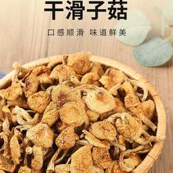 东北特产黄蘑滑子蘑大帽小帽干货大兴安岭一斤袋装