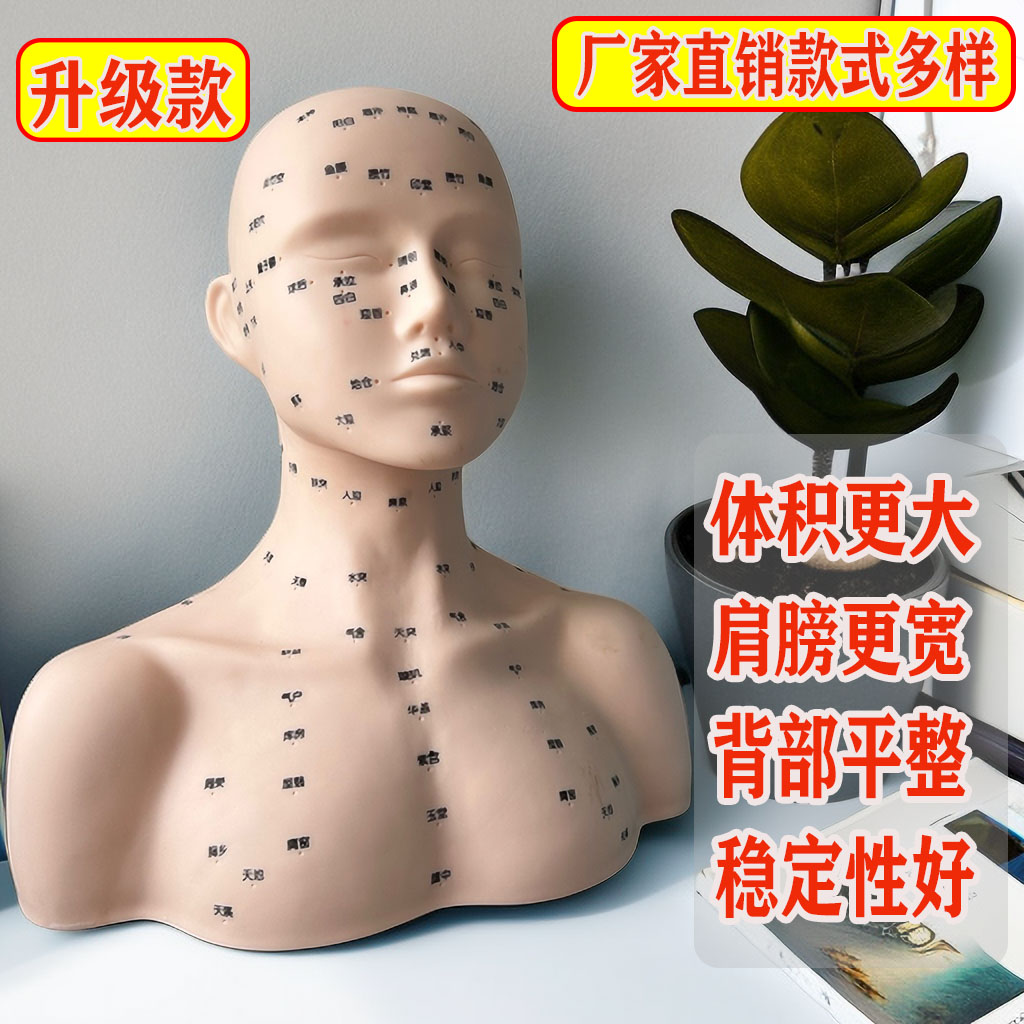 皮肤管理头模特美容院学习脸部穴位按摩练手法假人光头模型带肩膀