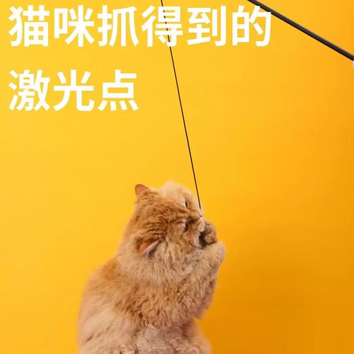 PETCHOO猫咪玩具LED光纤逗猫棒自嗨解闷逗猫神器
