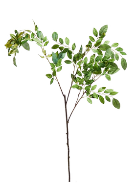 绿色植物长枝枫树叶玄关餐桌花艺