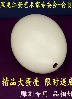 天然大号鸵鸟蛋壳工艺品雕刻DIY原材料驼鸟蛋壳恐龙蛋复活节彩蛋
