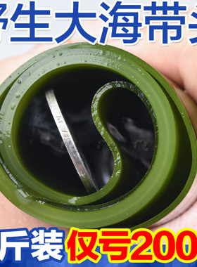 荣成海带头盐渍干货厚纯天然野生