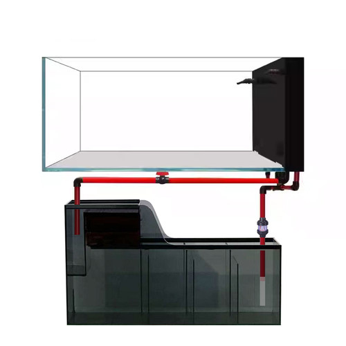 智定主缸加底滤槽鱼缸